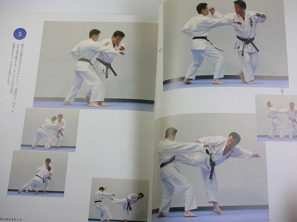 Kenji Ushiro karate book japan Martial Arts Hajime Kazumi kata Sensei