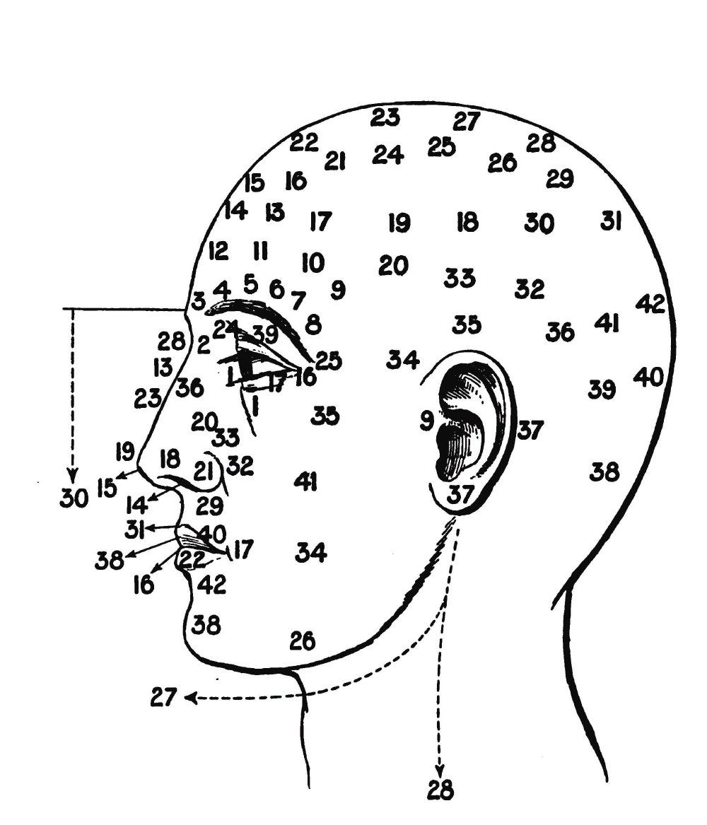 Some account of Dr. Galls new theory of physiognomy founded upon