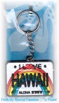 Hawaii Keychain Fridge Magnet Set License Plate Keyring Waikiki