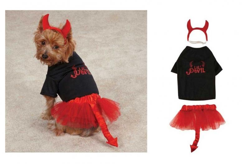 Devil Costumes for Dogs   Halloween Dog Costume   Lil Angels & Devils