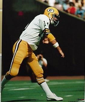 Lynn Dickey Green Bay Packers Photo CLOSEOUT