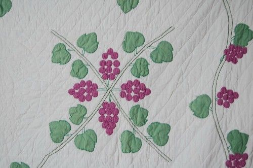 Gorgeous 30s Marthas Vineyard Grape Vine Applique Antique Quilt Nice