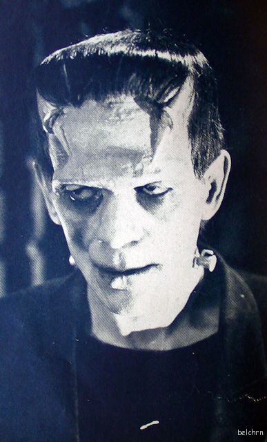 Frankenstein Mary Shelley First Photoplay Edition 1931 Illustrated