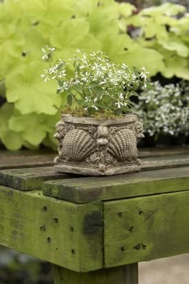 Napa H G Richard Taylor Faux Bois Shell Pots Planters