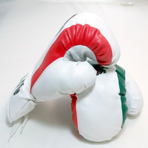 New Mexico Boxing Gloves 4 oz Mexican Flag Green Red