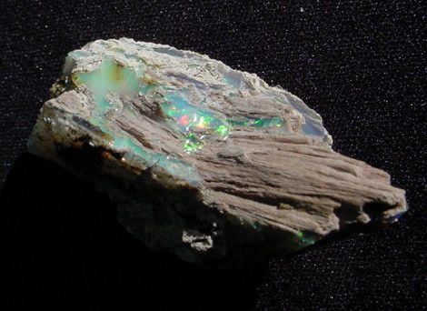 Sweet Wood with Fire Opal Virgin Valley Specimen Rockpile