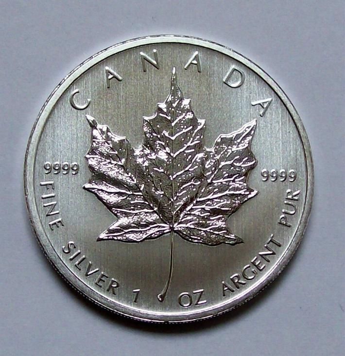 Maple Leaf   1oz Silber   2013 +++