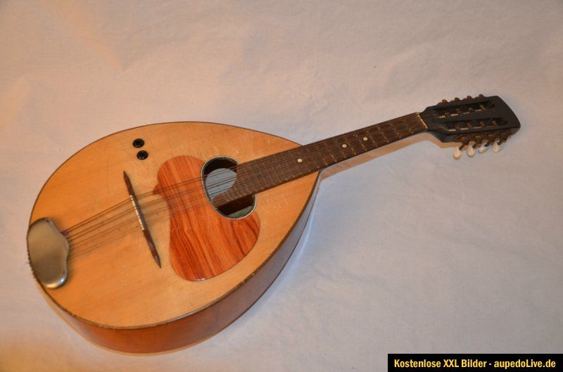 Altes Instrument Mandoline Laute aus Nachlass