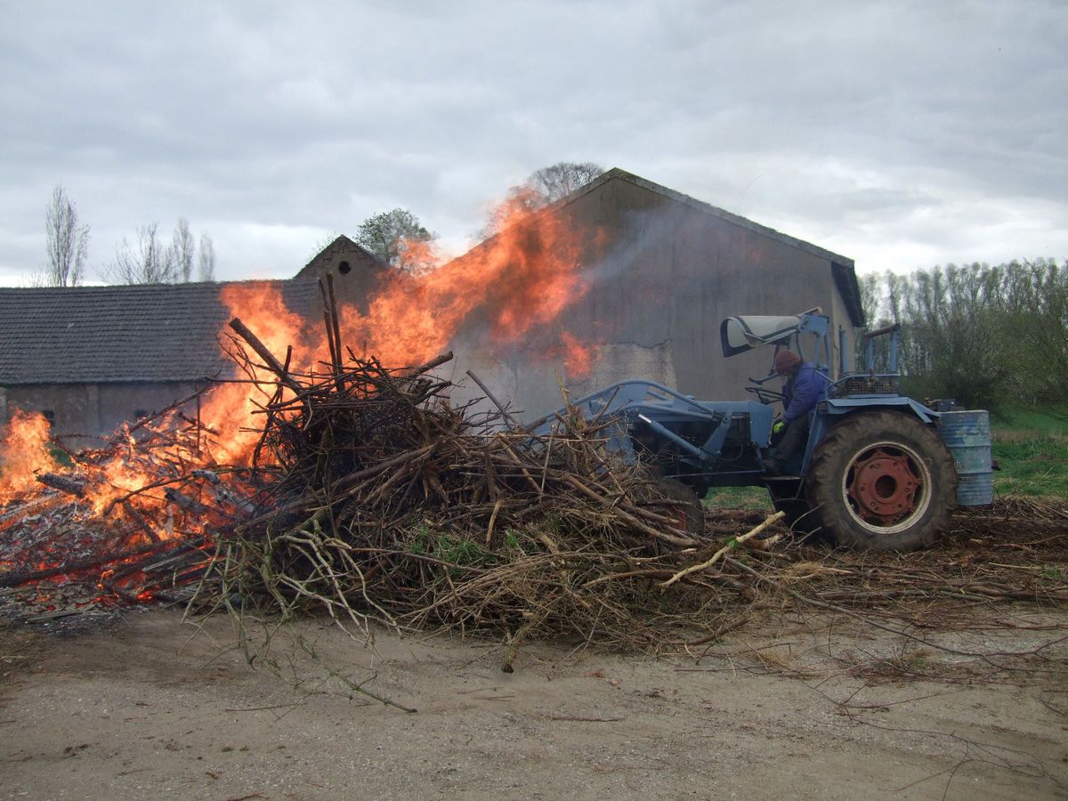 Hanomag Granit 501 E mit Frontlader Schaufel Gabel Planierschild