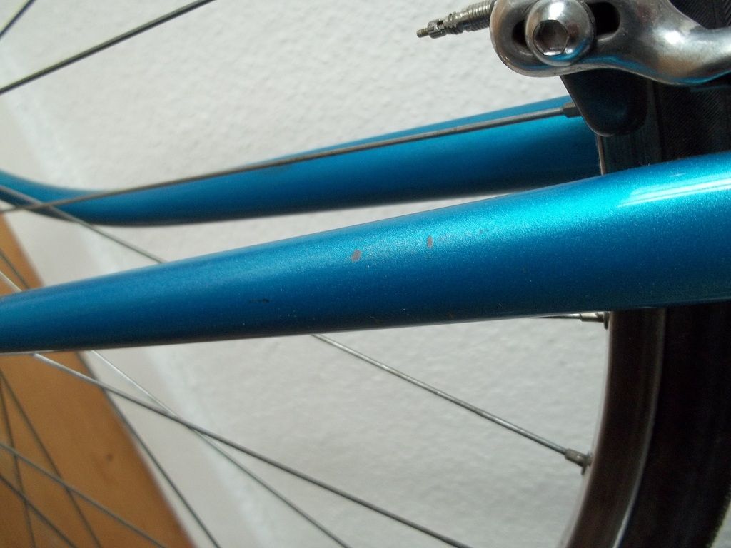 Wunderschönes Francesco Moser Rennrad Gipiemme Campagnolo