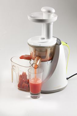 DOMO/Hurom Gastronomie Entsafter Slow Juicer DO9008J