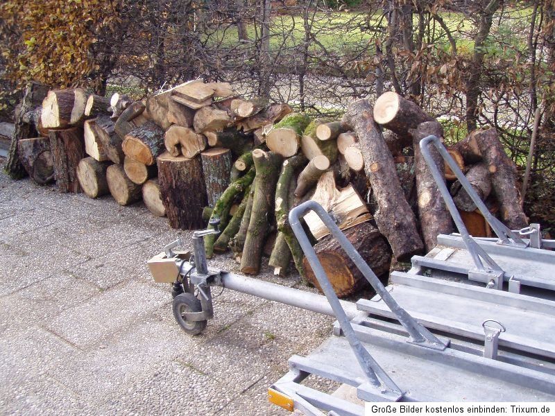 Holz Brennholz Feuerholz Baumstämme Kaminholz