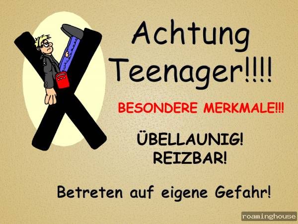 Teenager Metallschild Aluschild  Neu Funschild